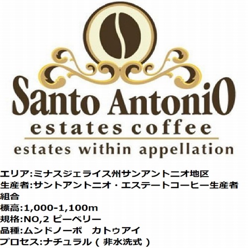 生豆　プレミアムコーヒー  ブラジル サンアントニオ　 ショコラ ピーベリー