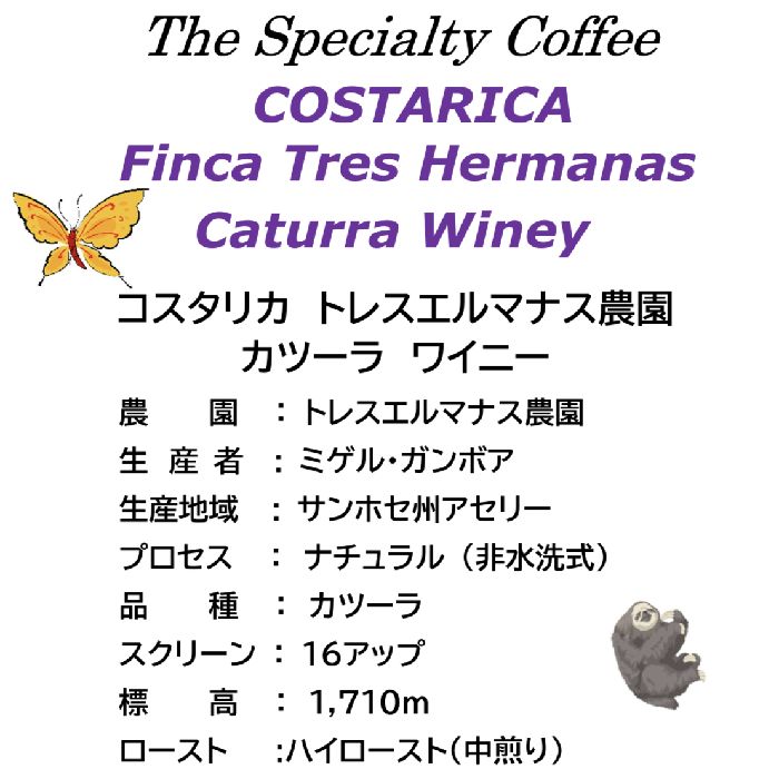 スペシャルティコーヒー コスタリカ トレスエルマナス農園 カツーラ ワイニー (中煎り)