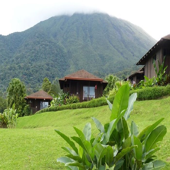 スペシャルティコーヒー コスタリカ トレスエルマナス農園 カツーラ ワイニー (中煎り)