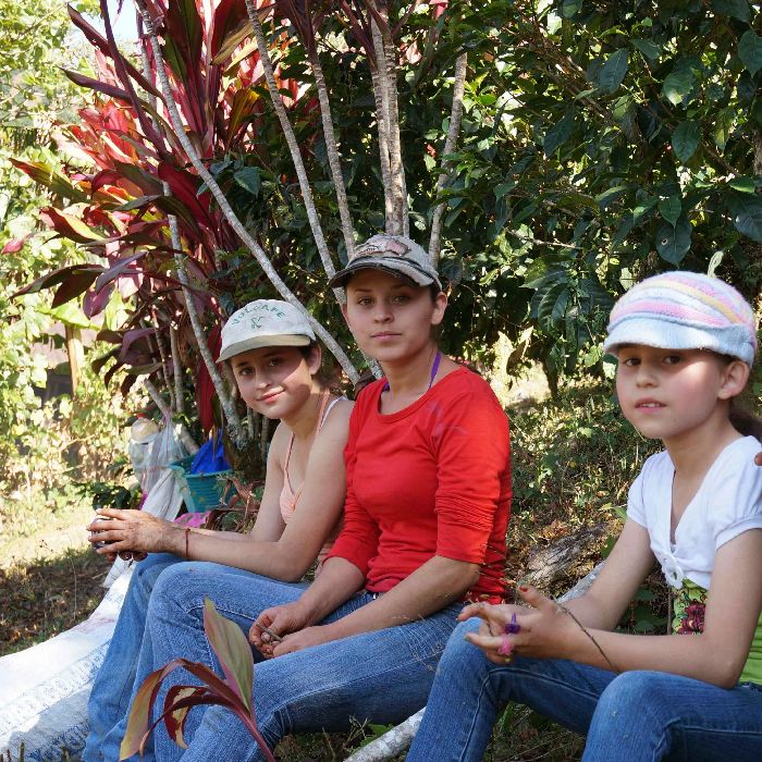 ５００ｇ 受注焙煎　スペシャルティコーヒー　深煎り　 コスタリカ　トレスエルマナス農園　 カツーラ  ワイニー
