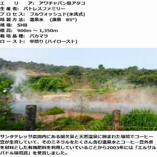 ５００ｇ 受注焙煎　スペシャルティコーヒー　エルサルバドル温泉パカマラ サンタテレサ農園　