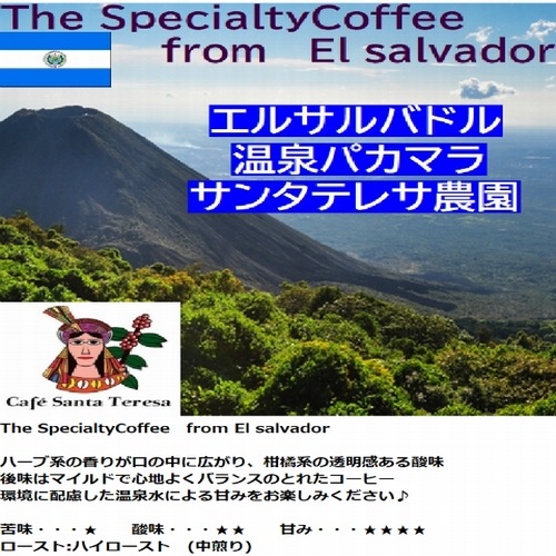 スペシャルティコーヒー エルサルバドル温泉パカマラ サンタテレサ農園 ≪第1週お買得コーヒー≫