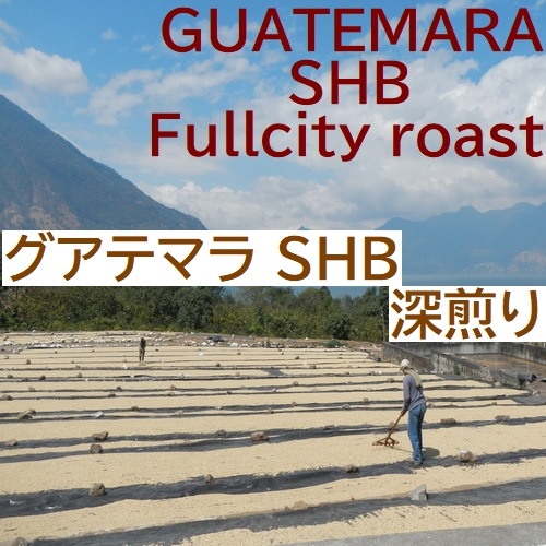 クリックポスト 【 送料無料】【深煎りストレートコーヒー他 飲み比べセット】100gX4袋 マンデリン グアテマラ ケニアピーベリー ショコラピーベリー メール便 4種 計400g