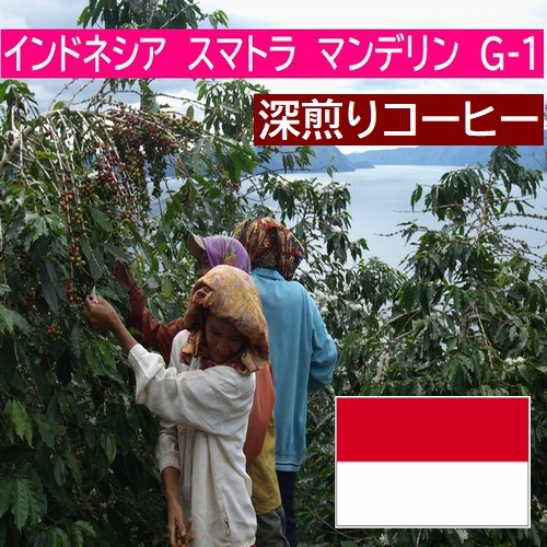 クリックポスト 【 送料無料】【深煎りストレートコーヒー他 飲み比べセット】100gX4袋 マンデリン グアテマラ ケニアピーベリー ショコラピーベリー メール便 4種 計400g