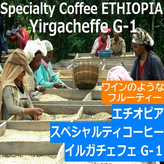生豆　　スペシャルティーコーヒー エチオピア イルガチェフ Grade-1　