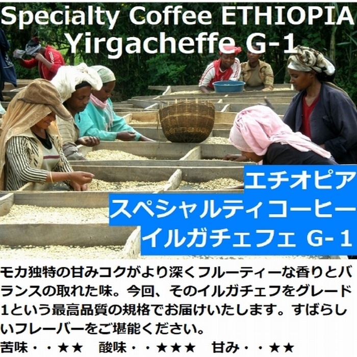 生豆　　スペシャルティーコーヒー エチオピア イルガチェフ Grade-1　