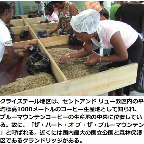 【クリックポスト 全国送料無料!!】生豆　900g　ジャマイカ　　ブルーマウンテンNo.1　クライスデール