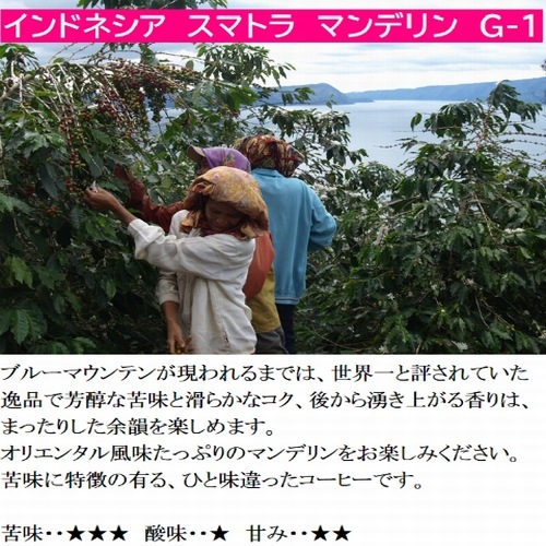 インドネシア スマトラマンデリン G-1