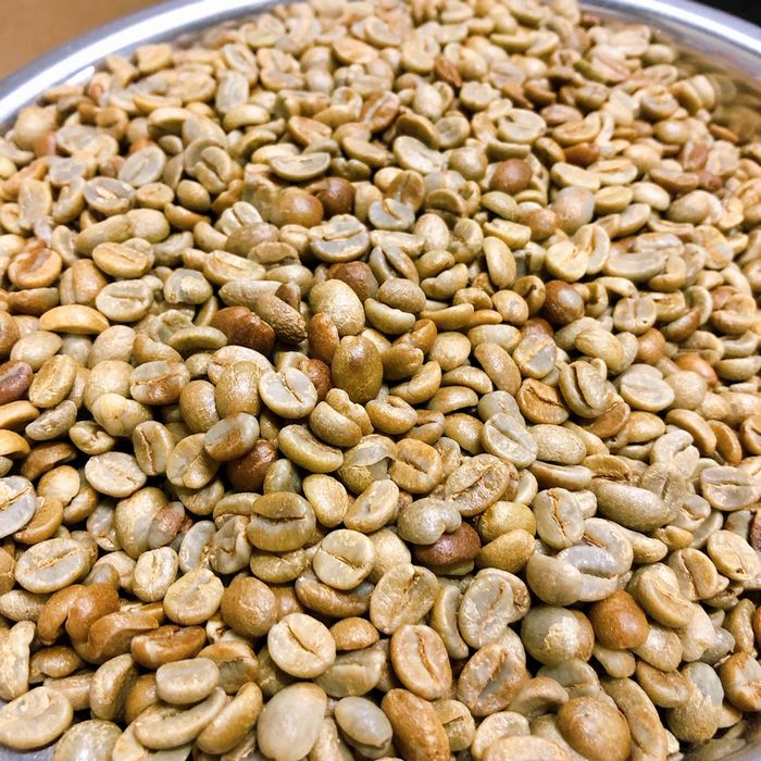 【クリックポスト 全国送料無料!!】生豆　900g　パナマ ハートマン農園 カトゥーラ ナチュラル