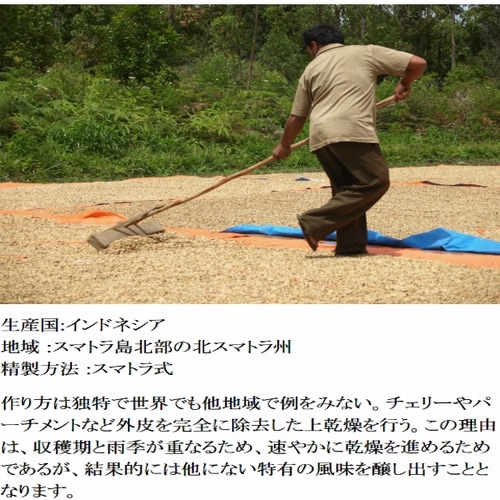 深煎り インドネシア スマトラマンデリン G-1