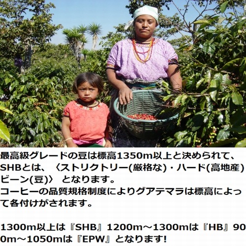 深煎り　グアテマラ SHB　