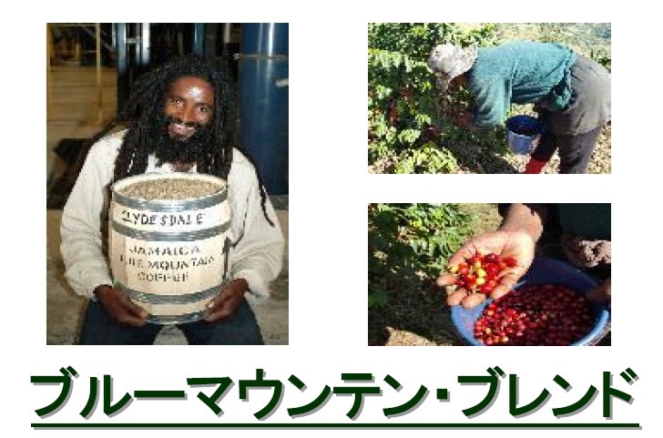 ブルーマウンテンブレンド ≪ブルーマウンテンNo,1 クライスデール使用≫