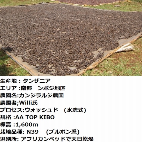 スペシャルティコーヒー タンザニア キリマンジャロ カンジラルジ農園