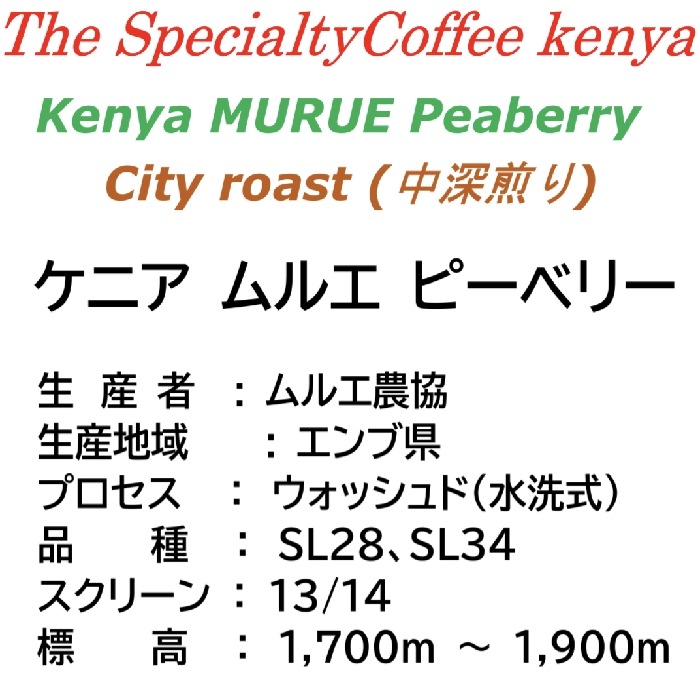 スペシャルティコーヒー　ケニア ムルエ ピーベリー　 ≪第１週お買得コーヒー≫