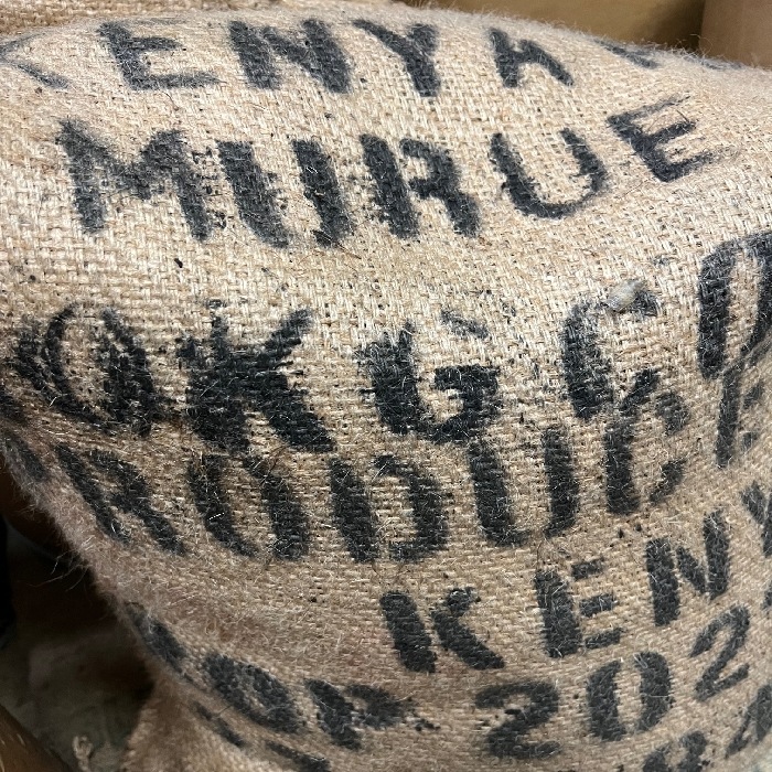 スペシャルティコーヒー　ケニア ムルエ ピーベリー　 ≪第１週お買得コーヒー≫