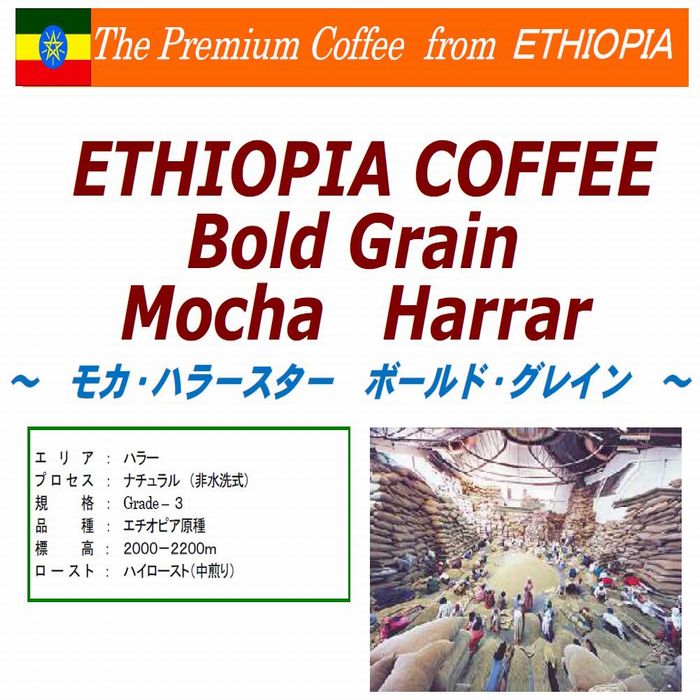 プレミアムコーヒー エチオピア　モカハラースター　ボールドグレイン　　