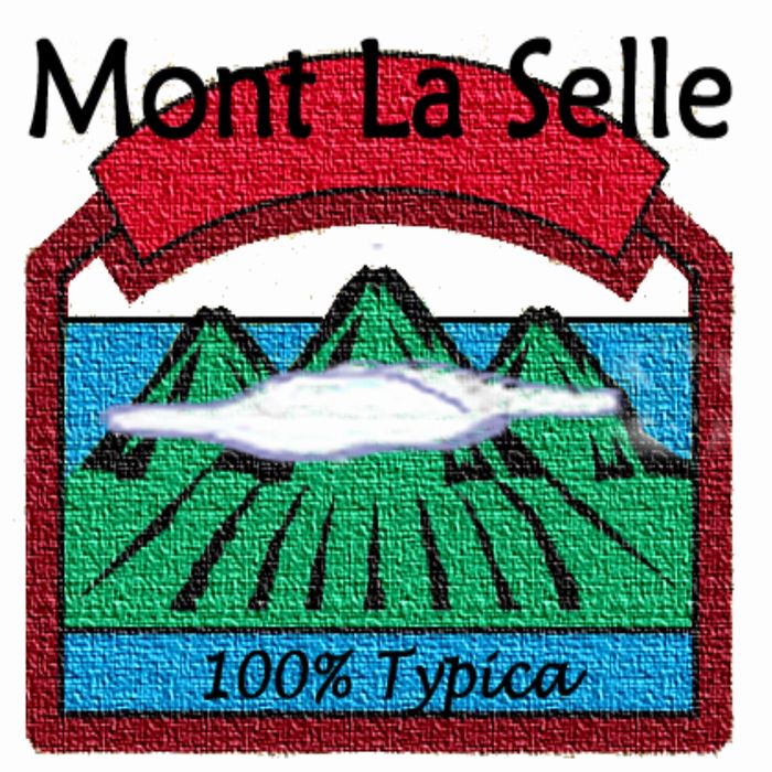 スペシャルティコーヒー ハイチ モンラセル ティピカ