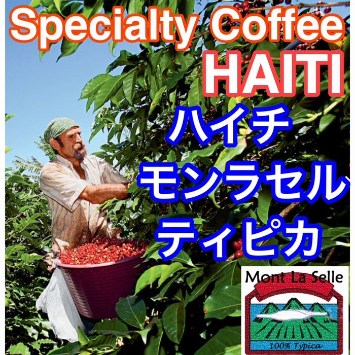 スペシャルティコーヒー  ハイチ　モンラセル　ティピカ ≪第４週お買得コーヒー≫