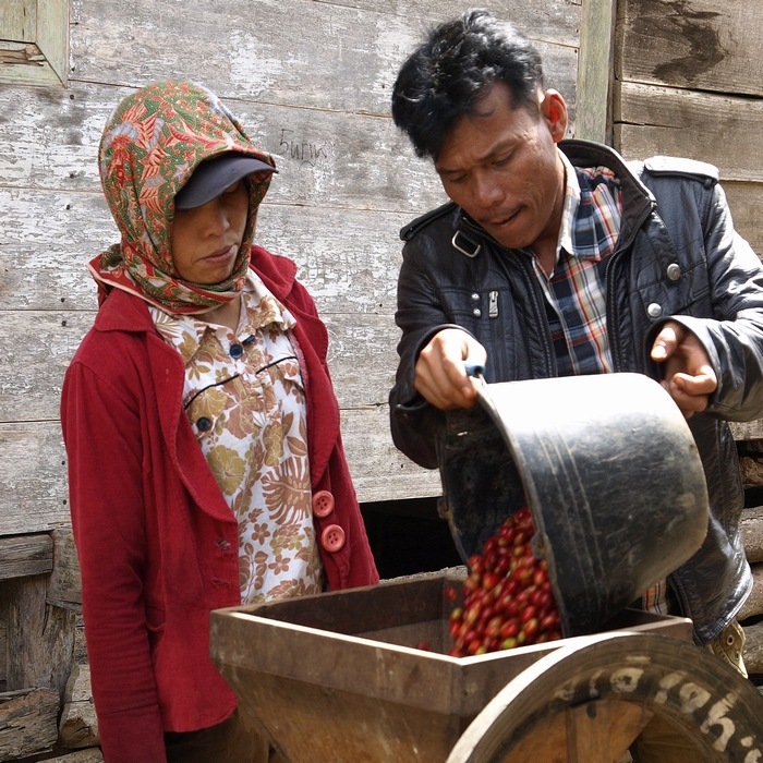 カフェインレス　インドネシア　マンデリンＧ１  デカフェ
