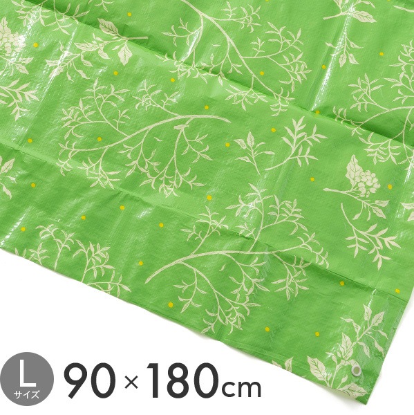 Hide��Seek�쥸�㡼������(L)