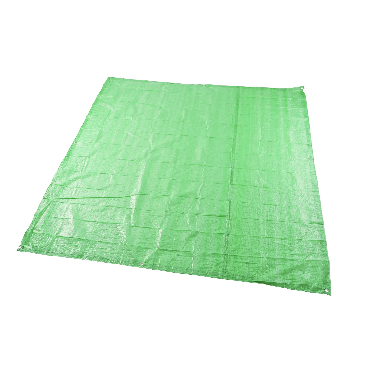 �ӥå������� �饤��