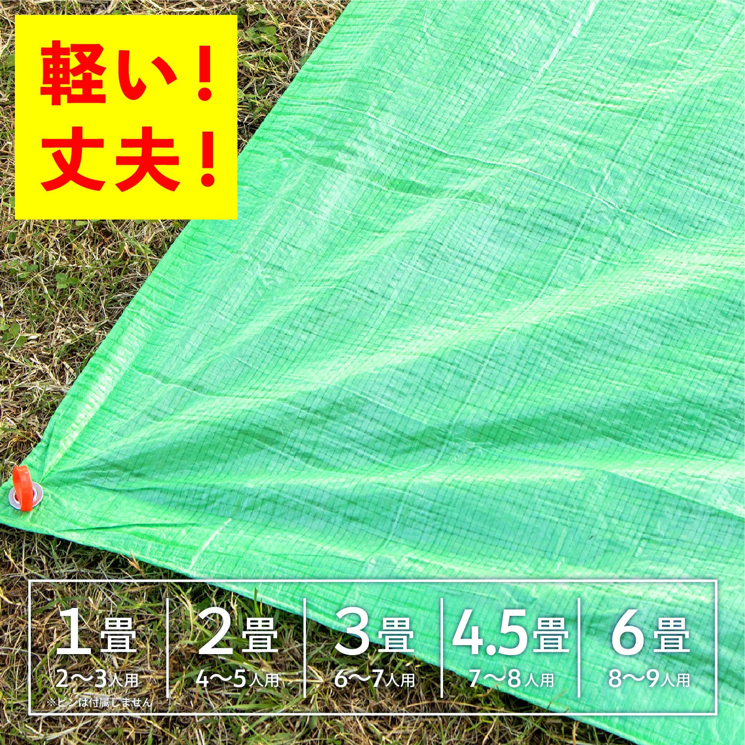 �ӥå������� �饤��