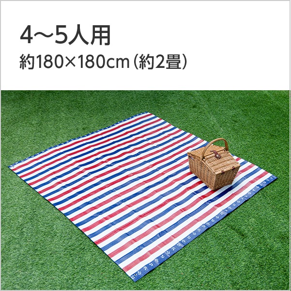 ���å����ޥå� �ץ顼���� NV 2��