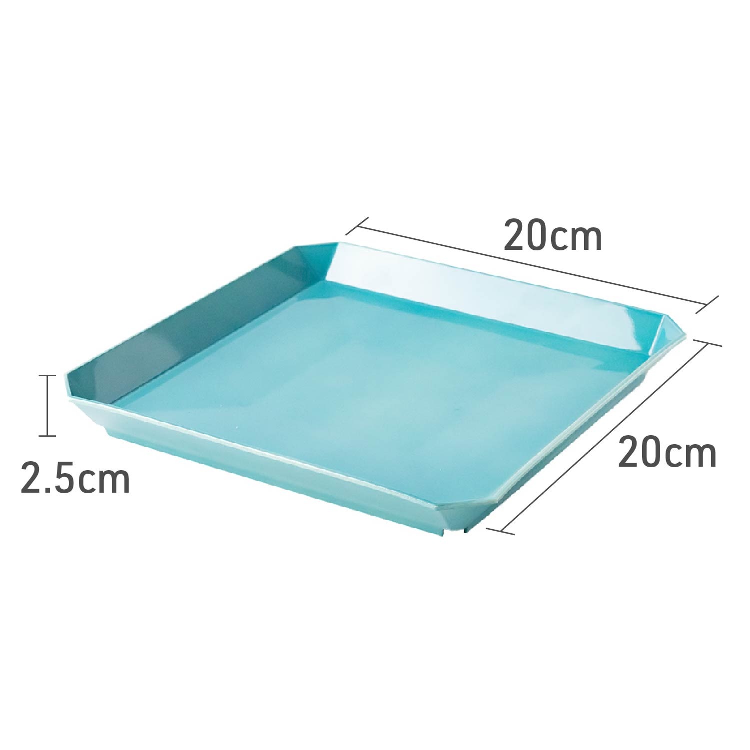 ���������ץ졼�� ����������