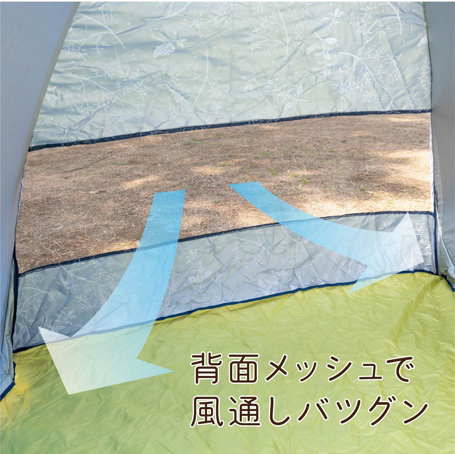 Hide��Seek ��å����դ��ݥåץ��åץƥ��