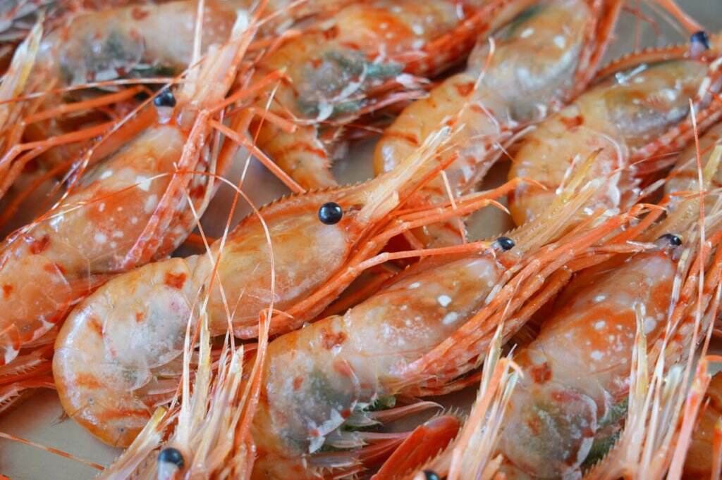 �ڸ����ʡ۹��ŷ���ܥ���Ϸ500�硧M������