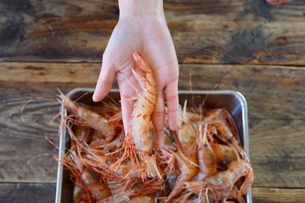 �ڸ����ʡ۹��ŷ���ܥ���Ϸ500�硧M������