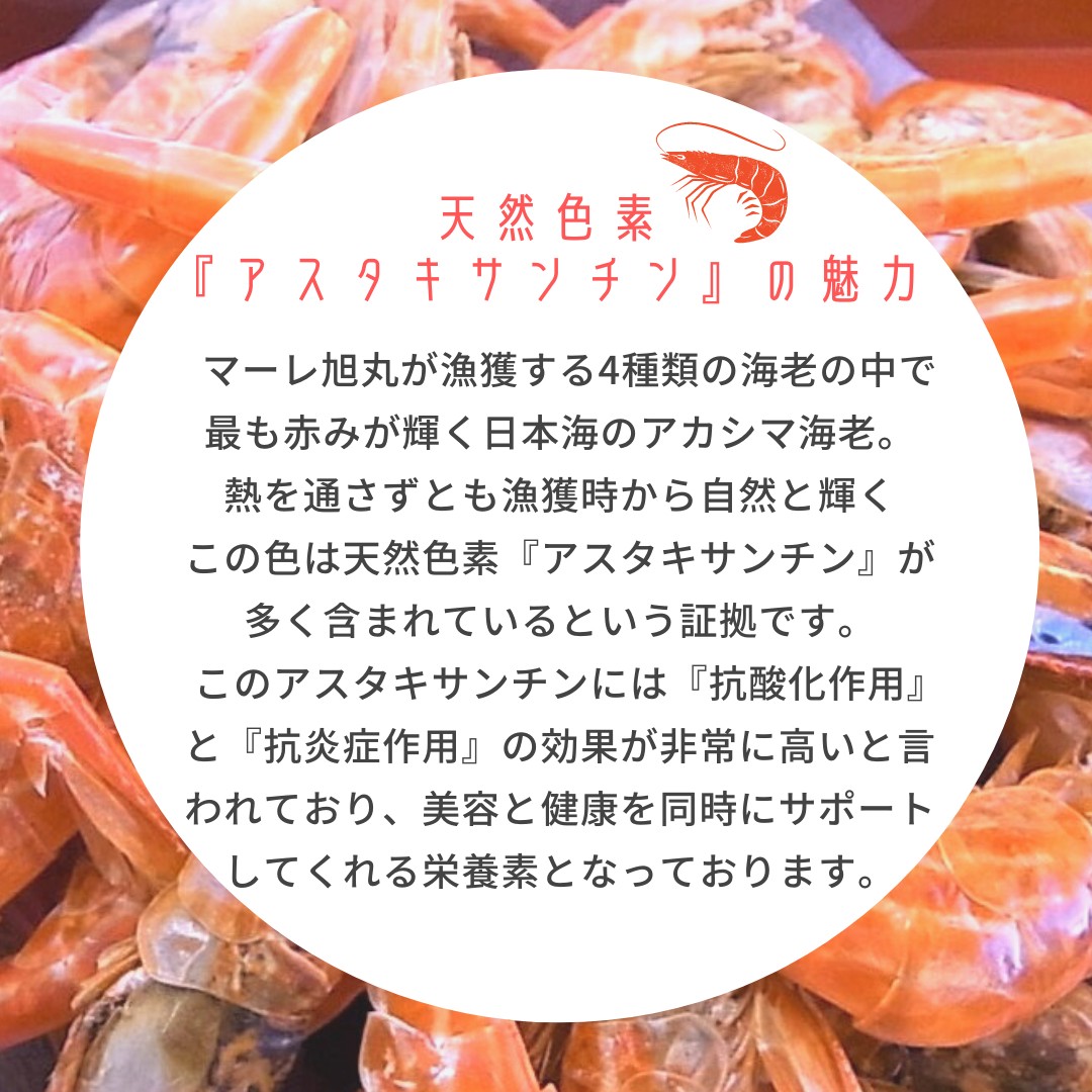 ������̣���������޳�Ϸ�ʴ���̵ź�áˤ����ѥѥå� 110g