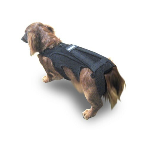 わんコル Mサイズ