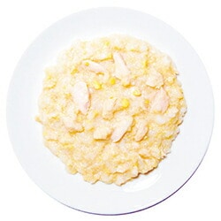 チョイめし 親子丼 80g 犬用 ウェットフード ドッグフード