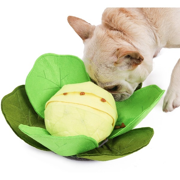 探犬ＴＯＹキャベツ