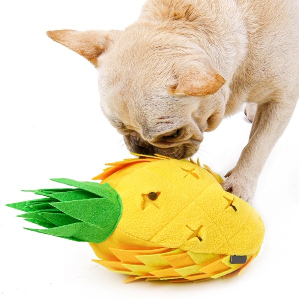 探犬ＴＯＹパイナップル