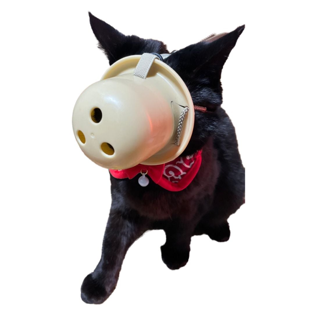 NEW グルーミングマスク S 小型犬用 猫用 トリミングマスク 口輪 日本製 ベージュ