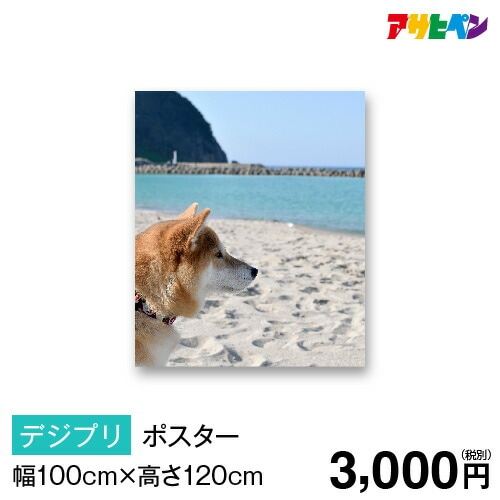 ポスター オーダーメイド オンデマ・ポスター 幅100cm×高さ120cm
