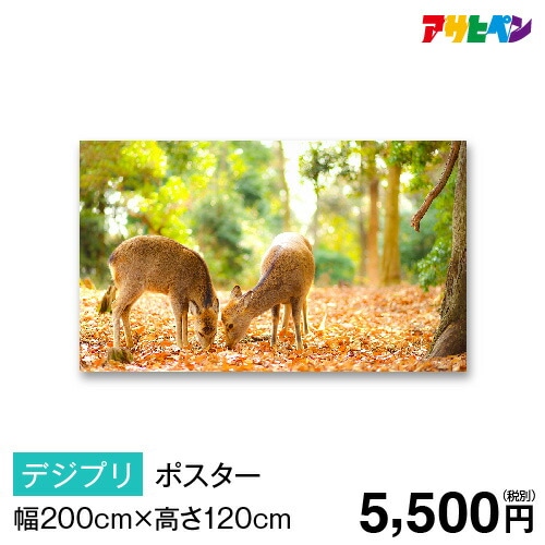 ポスター オーダーメイド オンデマ・ポスター 幅200cm×高さ120cm