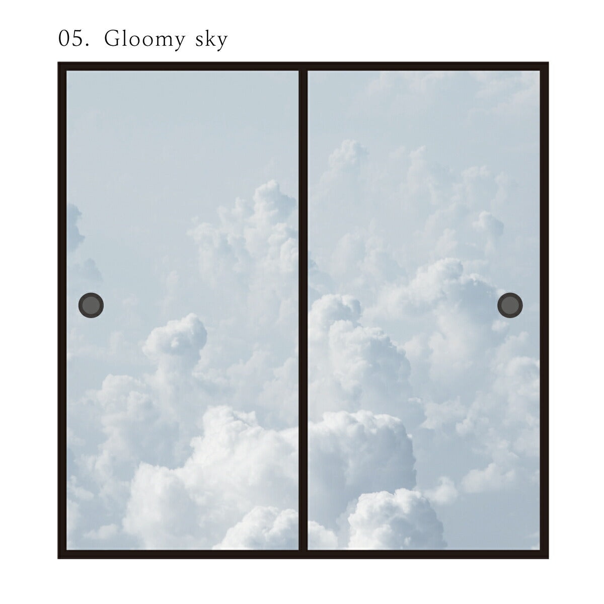 ふすま紙 空もよう襖紙 sky-05F Gloomy sky 91cm×182cm 2枚1組 水で貼るタイプ