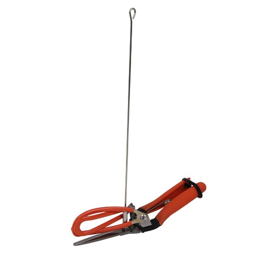 サボテン アスパラ収穫鋏 No.AG-21