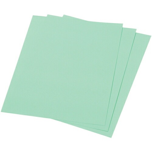 藤原産業 タワック フィニッシュペーパー 3枚入 #3000