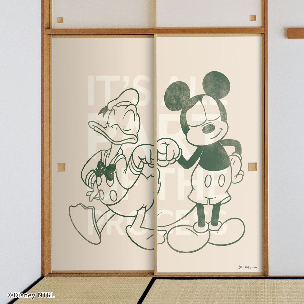 ディズニーキャラクター ふすま紙 ドナルド＆ミッキー NTLD-035F 水で貼るタイプ 再湿 襖紙 幅約92cm×長さ約182cm 2枚1組 アサヒペン