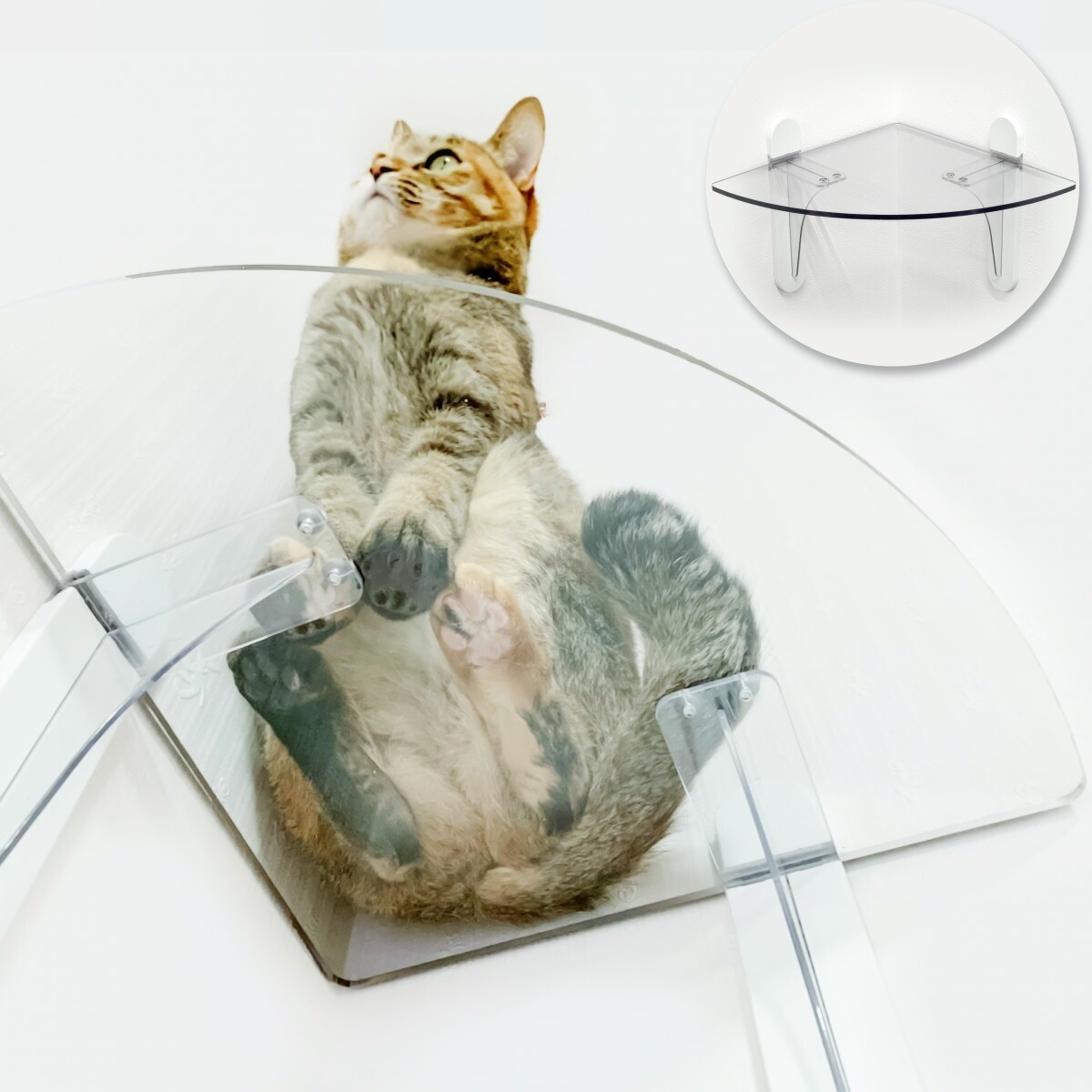 キャットステップ コーナー PC30R 1枚 H210×W400×D220mm キャットタワー クリア タカラ産業株式会社 ペット用品 ペット