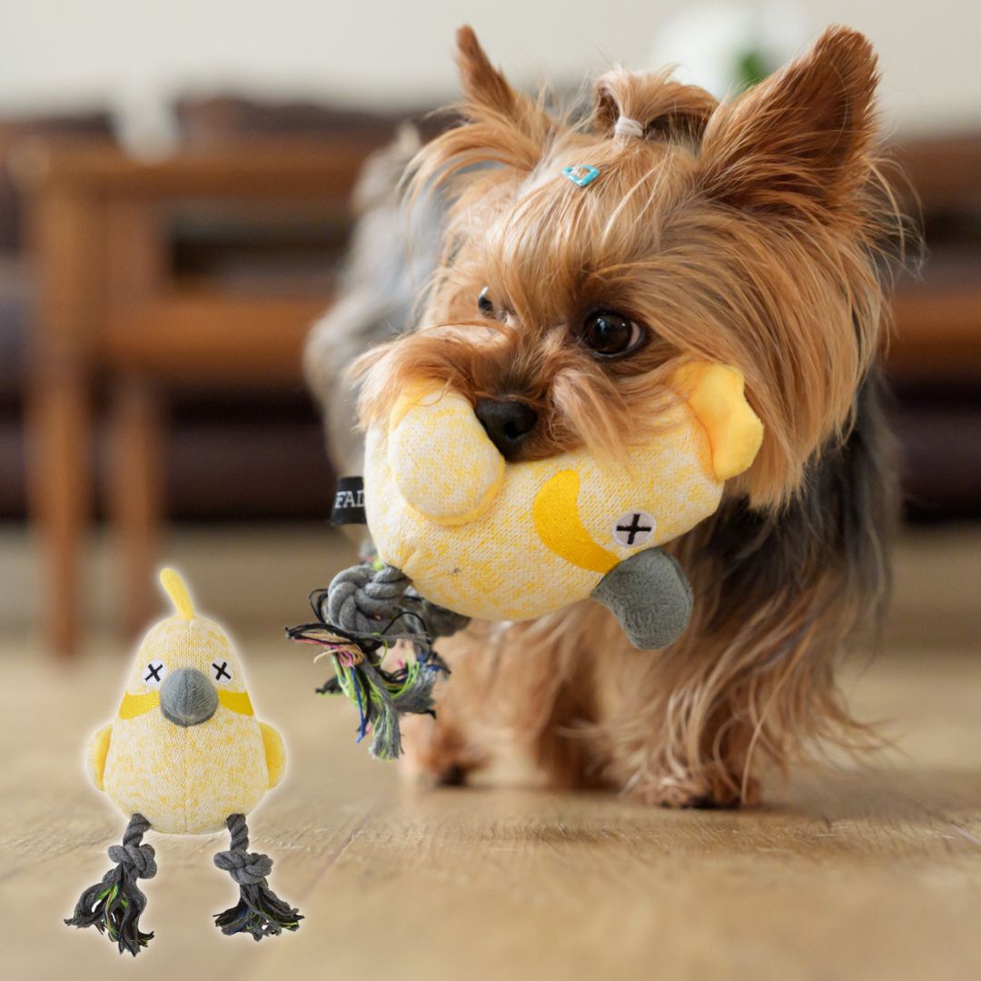 犬用おもちゃ アニマル プラッシュトイ ウィズロープ パロット デンタルケア スクイーカー ロープ 歯磨き デンタルトイ