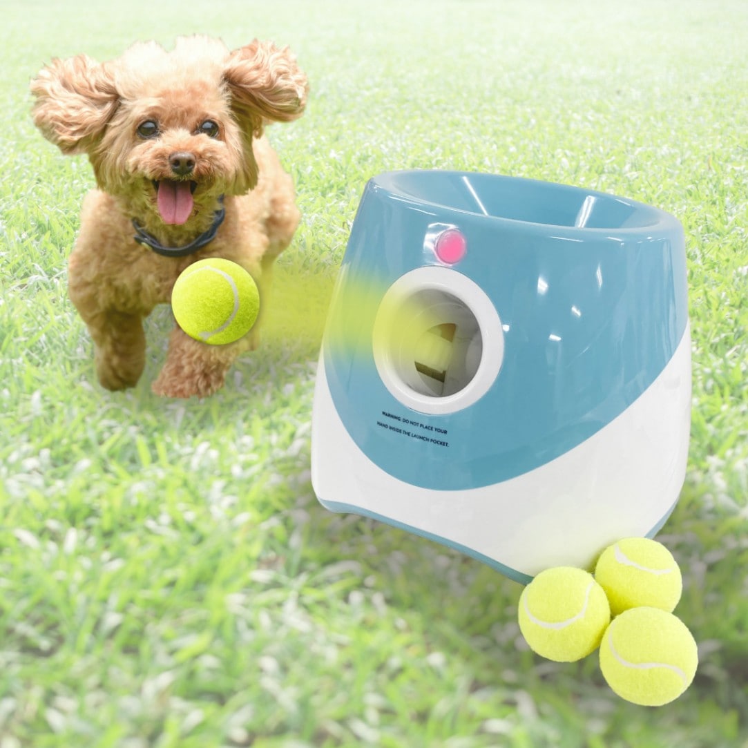 【送料無料】犬 おもちゃ 自動 ボール ボールランチャー ブルー テニスボール3個付き USB充電ケーブル付き 投球機 犬玩具 知育おもちゃ ペット用品 犬のおもちゃ