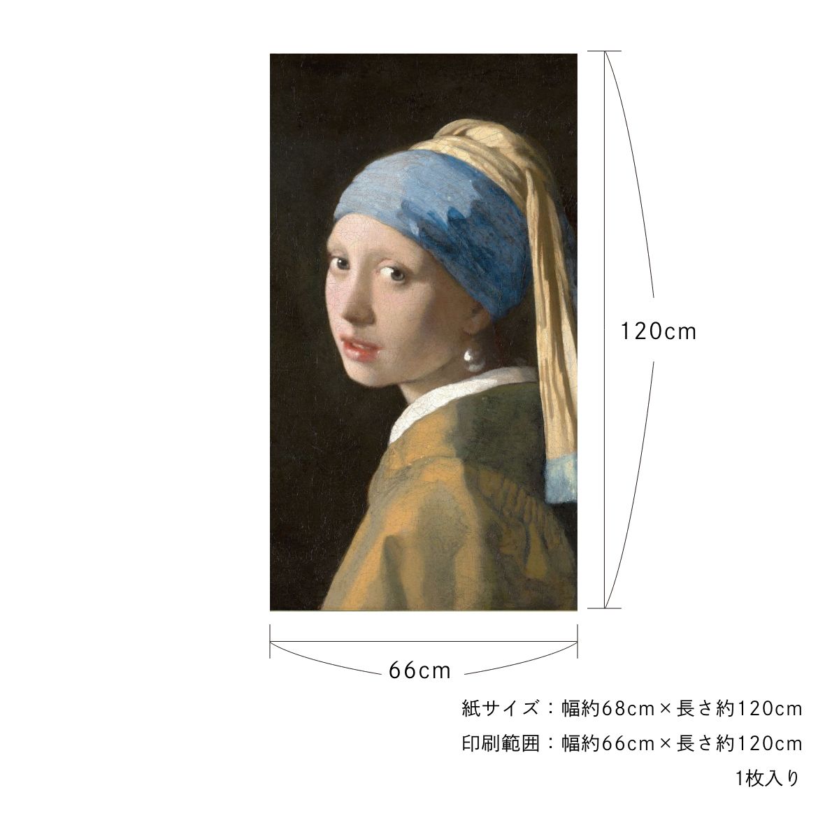貼ってはがせる壁紙シート アートシリーズ 西洋の巨匠たち 世界の名画 HC_W_009 ～ HC_W_015 シールタイプ 幅約66cm×高さ約120cm 1枚入り アサヒペン