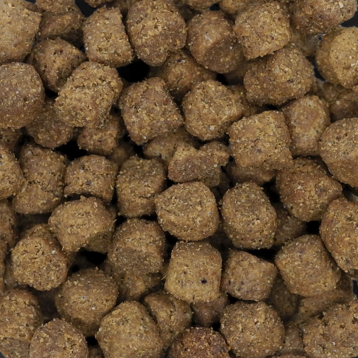 ドッグフード 犬用ドライフード ネイチャーズテイスト NATURE'S TASTE for Dogs ヘルスマネジメント ラム＆ダック 内容量：800g (200g×4袋) 成犬向け ペット用品 ペット