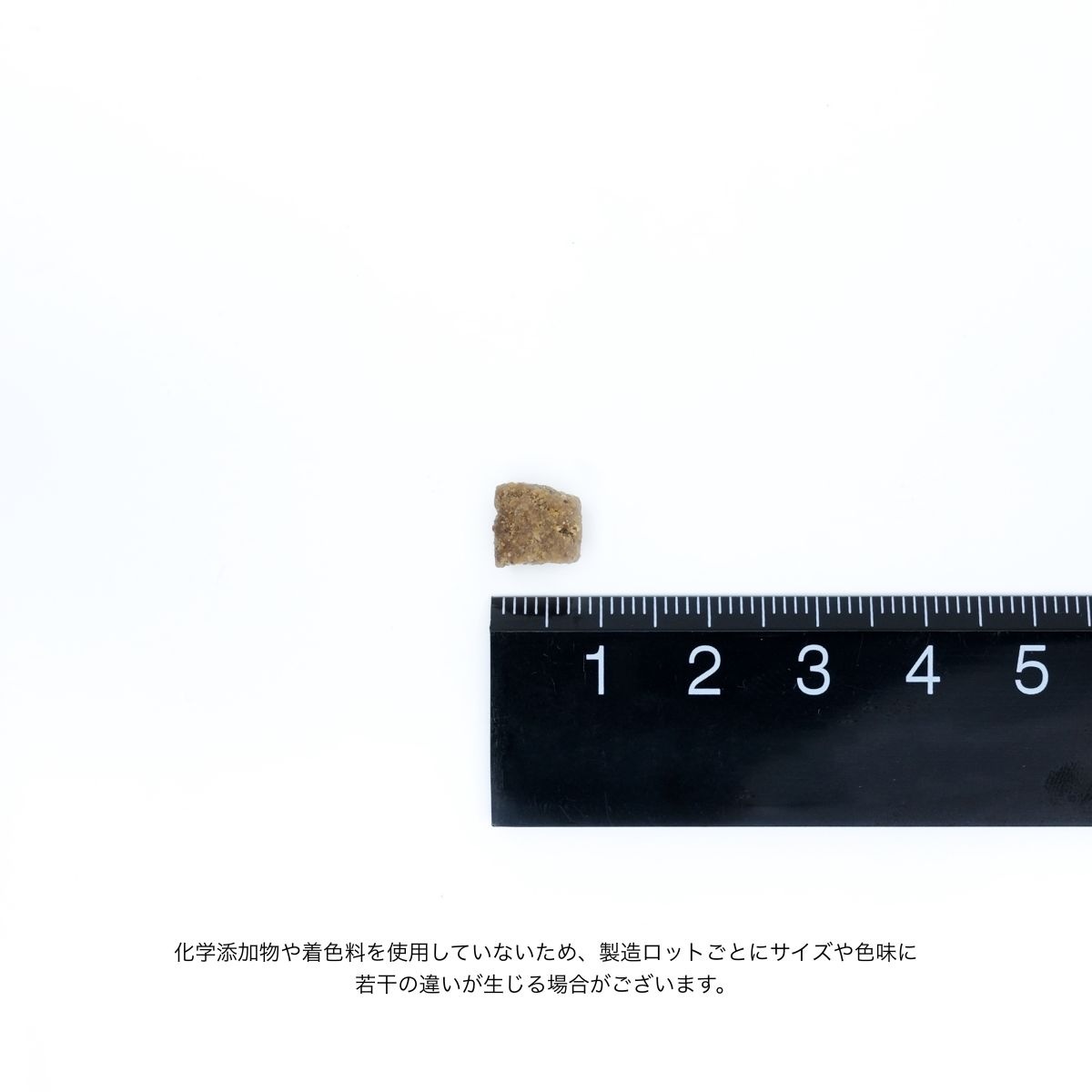 ドッグフード 犬用ドライフード ネイチャーズテイスト NATURE'S TASTE for Dogs ヘルスマネジメント ラム＆ダック 内容量：3.0kg 成犬向け ペット用品 ペット