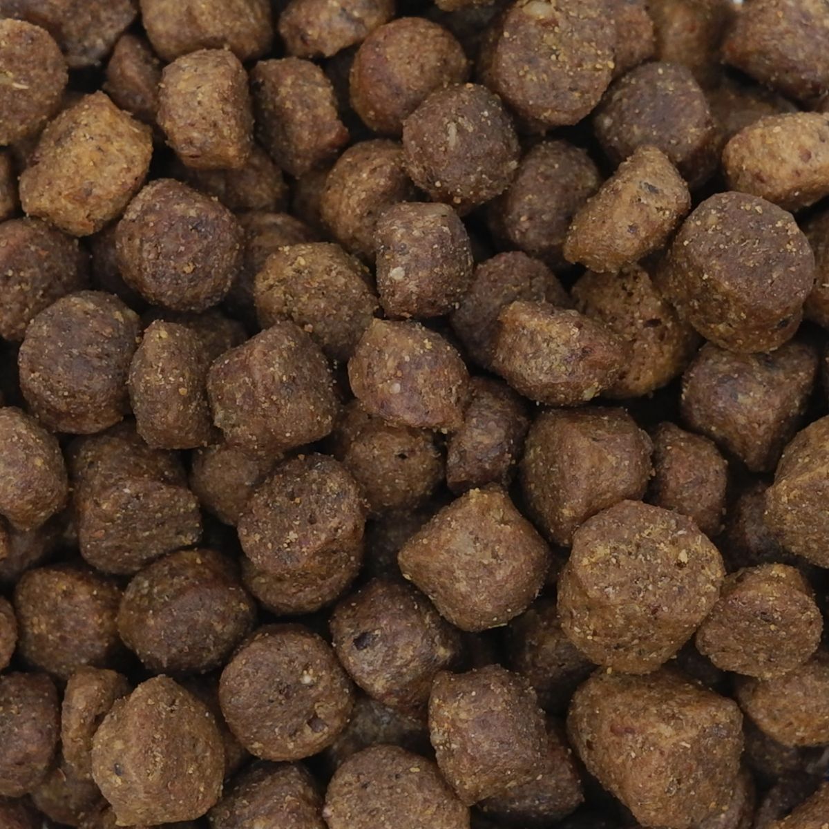 ドッグフード 犬用ドライフード ネイチャーズテイスト NATURE'S TASTE for Dogs エイジングケア フィッシュ 内容量：800g (200g×4袋) 成犬～シニア向け ペット用品 ペット